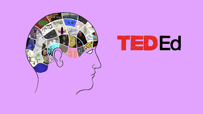TED ED