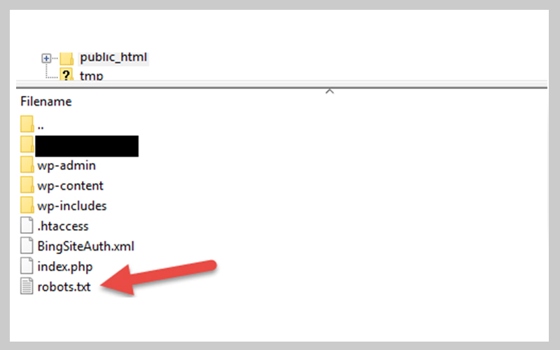 نمونه فایل Robots.txt را در ریشه هاست