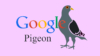 الگوریتم کبوتر گوگل چیست؟ Google’s Pigeon [ برگ برنده سئو محلی! ]