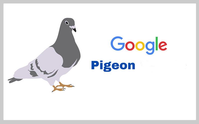 معرفی الگوریتم کبوتر گوگل در مارکترها